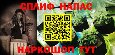 трава Кунгур