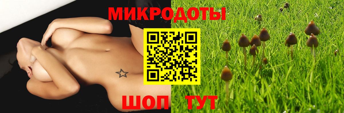 Псилоцибиновые грибы мухоморы Соликамск